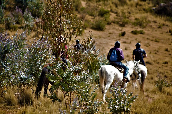 Horse Riding Chacan Mountain And Temple Of The Moon - From the ranch to Chacan Mountain