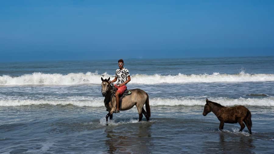 HORSE TOUR IN CARTAGENA BEACH - Should you book the Cartagena beach horse tour?