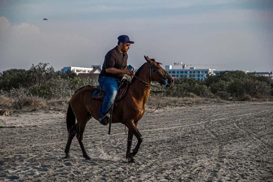 HORSE TOUR IN CARTAGENA BEACH - A personal photo stop and a drink afterward