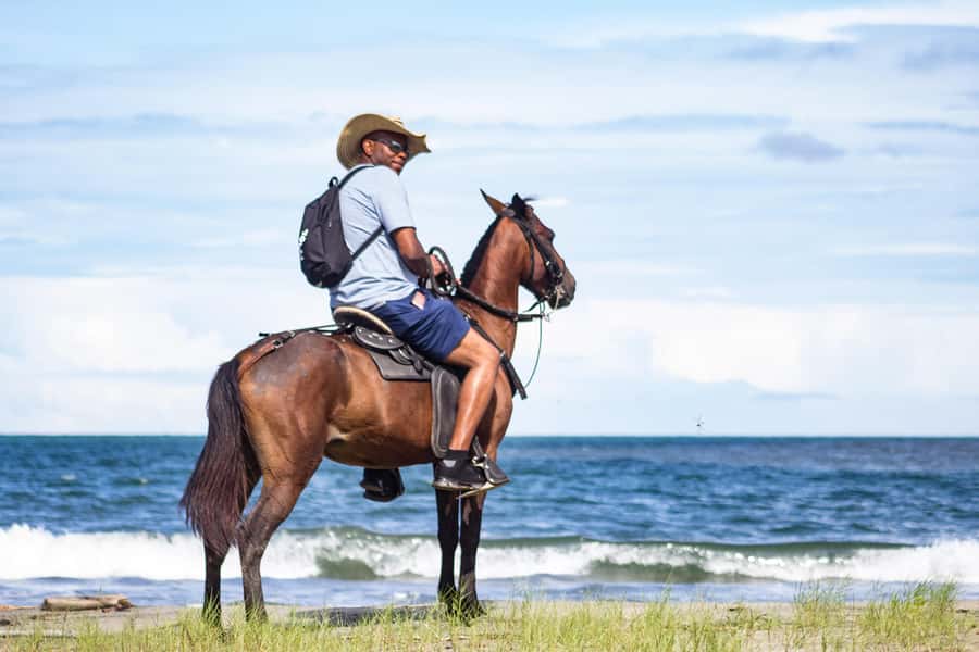 HORSE TOUR IN CARTAGENA BEACH - Meeting the horses and choosing your pace