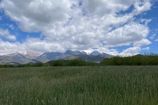 Horseback riding and barbecue in a private ranch - La Carrera, Mendoza - Meeting the Creole horses and getting ready to ride