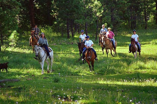 Horseback Riding Plus Tour to Sacsayhuaman, Quenqo, Puka Pucara and Tambomachay - Why this tour works well in Cusco