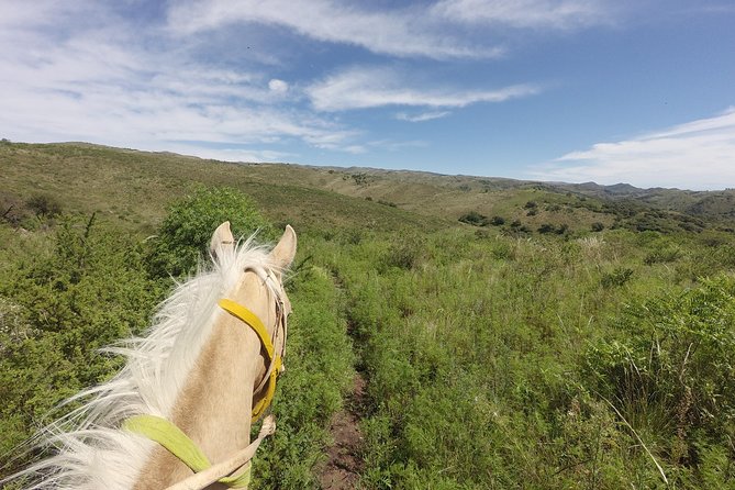 Horseback riding through the Sierras - A full day at El Rosal, not just a horse ride