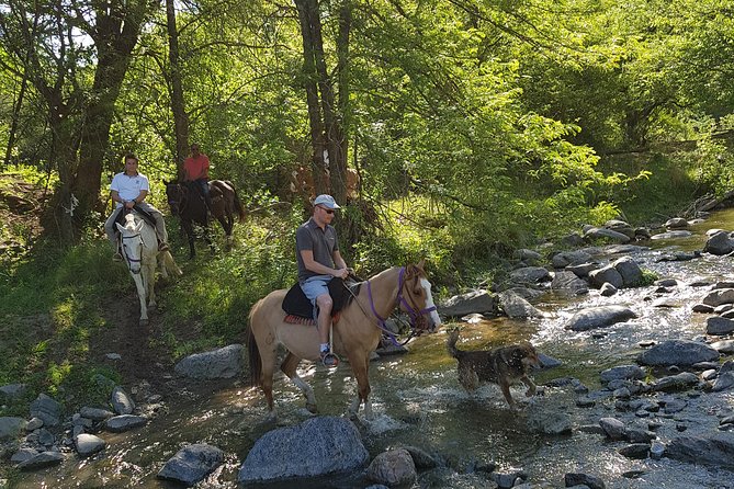 Horseback riding through the Sierras - The farm tour brings the past into view
