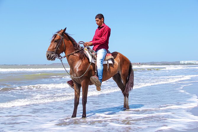 Horseback Riding Tour through the Beaches of Cartagena de Indias - What happens after hotel pickup