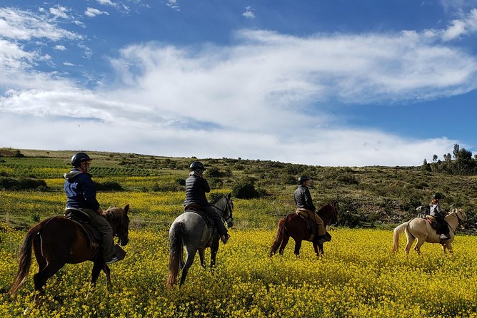 Horseback Tour in cusco to Temple of the Moon & Hidden temples - Who will enjoy this ride most