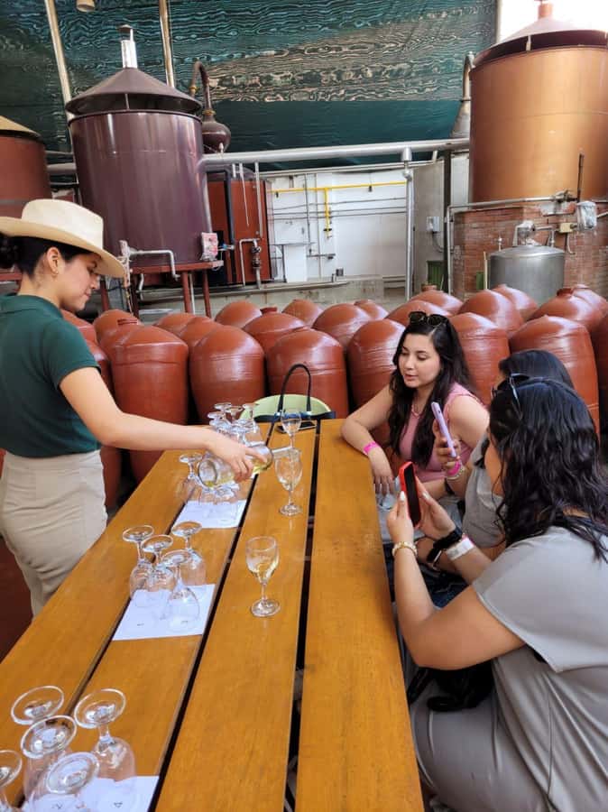 ICA: Pisco and Wine Route with tasting in 03 Wineries - Why this Ica wine tour is worth considering