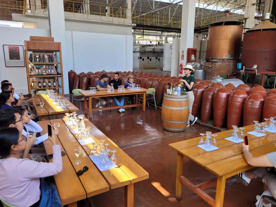 ICA: Pisco and Wine Route with tasting in 03 Wineries - First stop: Hacienda Tacama and Ica’s pisco story