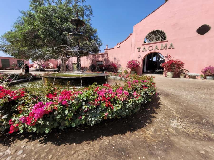 ICA: Pisco and Wine Route with tasting in 03 Wineries - The first 30-minute tasting