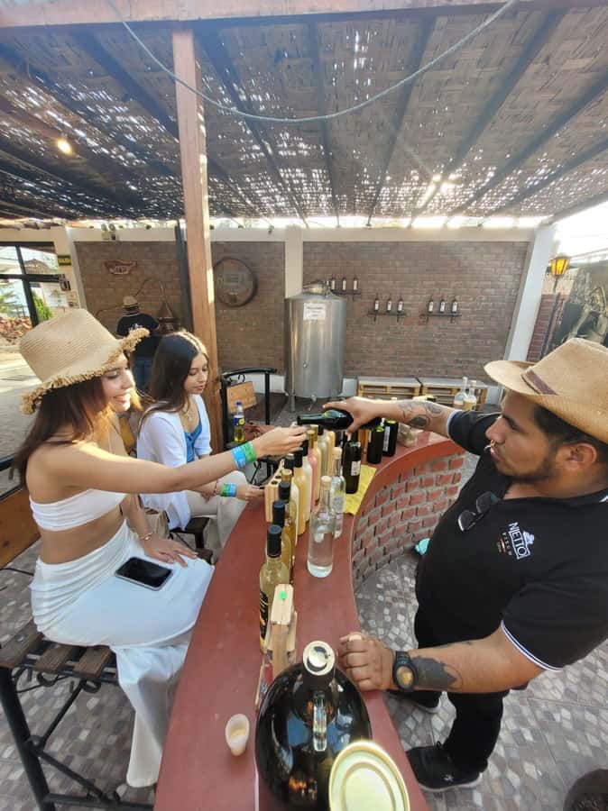 ICA: Pisco and Wine Route with tasting in 03 Wineries - A second tasting and premium wine pairings