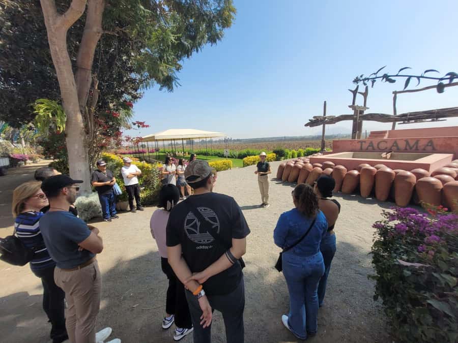 ICA: Pisco and Wine Route with tasting in 03 Wineries - Lunch in Ica, with one important price warning