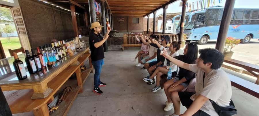 ICA: Pisco and Wine Route with tasting in 03 Wineries - Who should book this experience