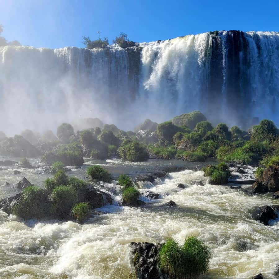 Iguassu Falls: Brazilian Side Private Tour - What the $172 private price really buys