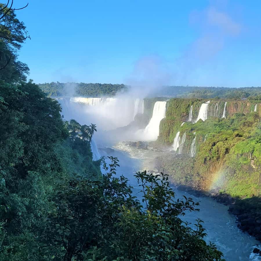 Iguassu Falls: Brazilian Side Private Tour - Should you add the Macuco Safari?