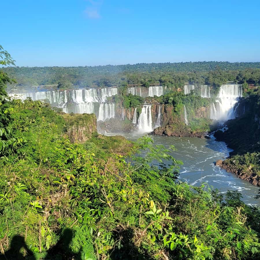 Iguassu Falls: Brazilian Side Private Tour - From your hotel to the national park entrance