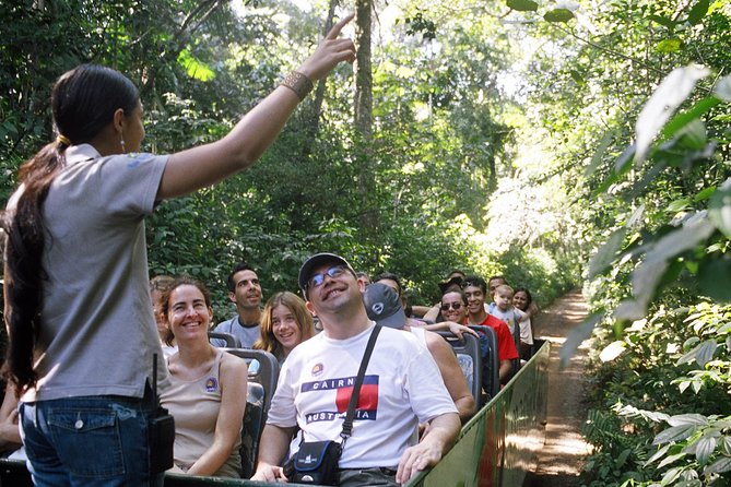 Iguassu Falls Combo Tour: Visit to the Brazilian side and Waterfall Boat Ride - The Brazilian-side trail gives you the big picture