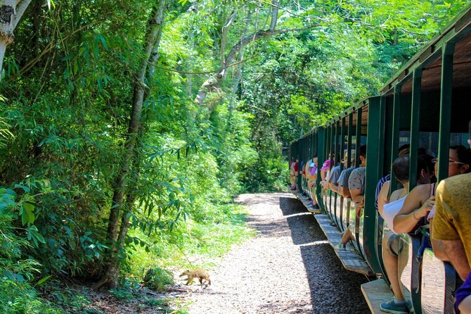 Iguazu Falls: Argentinian Side with Boat Ride, Jungle-truck and Train - How much value does the $149 price offer?