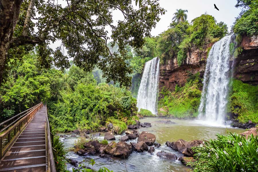Iguazú Falls: The Natural Wonder of Argentina - Hotel pickup and the long route into the park