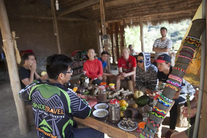 Inca Jungle Premium to Machu Picchu 4-Day and 3-Nights - Day Two: Forest Walking and Cocalmayo Hot Springs