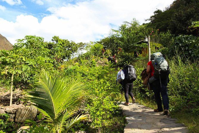 Inca Jungle Premium to Machu Picchu 4-Day and 3-Nights - Who Should Book This Inca Jungle Tour?