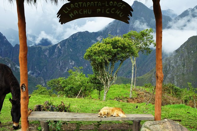 Inca Jungle Premium to Machu Picchu 4-Day and 3-Nights - Day Three: Zip Lines, Waterfalls, and the Walk to Aguas Calientes