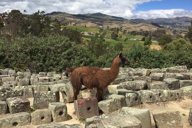 Ingapirca Ruins & Inca mountain face tour from Cuenca with Small Group - Key points to know before you book