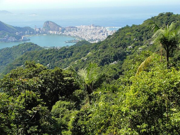 Jeep Adventure: Guided Tour through Tijuca Rain Forest - Key things to know before you book