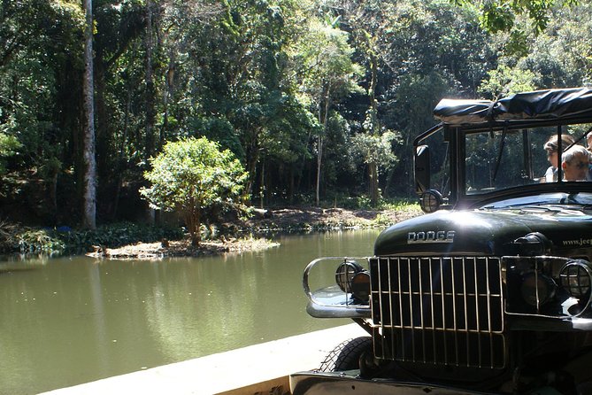 Jeep Adventure: Guided Tour through Tijuca Rain Forest - Why Tijuca Forest works as a half-day Rio outing