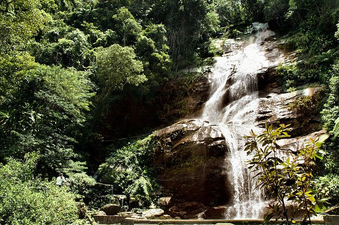 Jeep Adventure: Guided Tour through Tijuca Rain Forest - The drive into Tijuca National Park