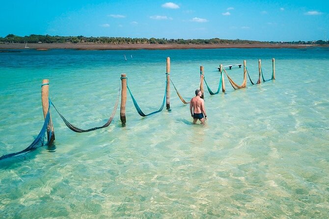 Jericoacoara Tour in 1 Day - Arvore da Preguica is a ten-minute photograph