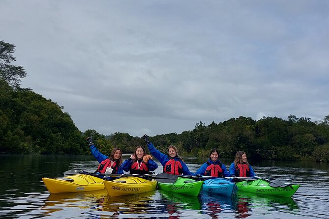Kayak through the Sunken Forest of the Maullín River - Meeting at Cahuil Adventure on route V-155