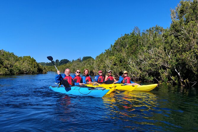 Kayak through the Sunken Forest of the Maullín River - Is $95 a fair price?