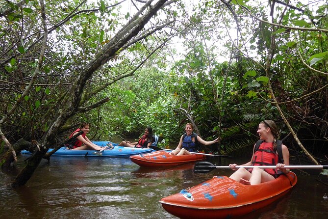 Kayaking Mangroves tour ( Natural Reserve ) - Fitness, weather, and what to bring mentally