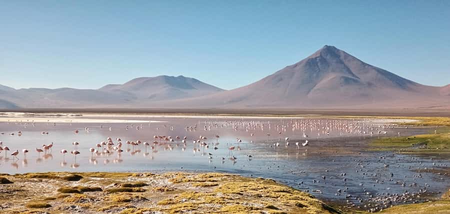 La Paz: 5-Day Uyuni Salt Flats by Bus - Guides, photography, and group rhythm
