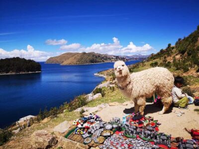 La Paz: Full Day Trip to Copacabana and Isla del Sol
