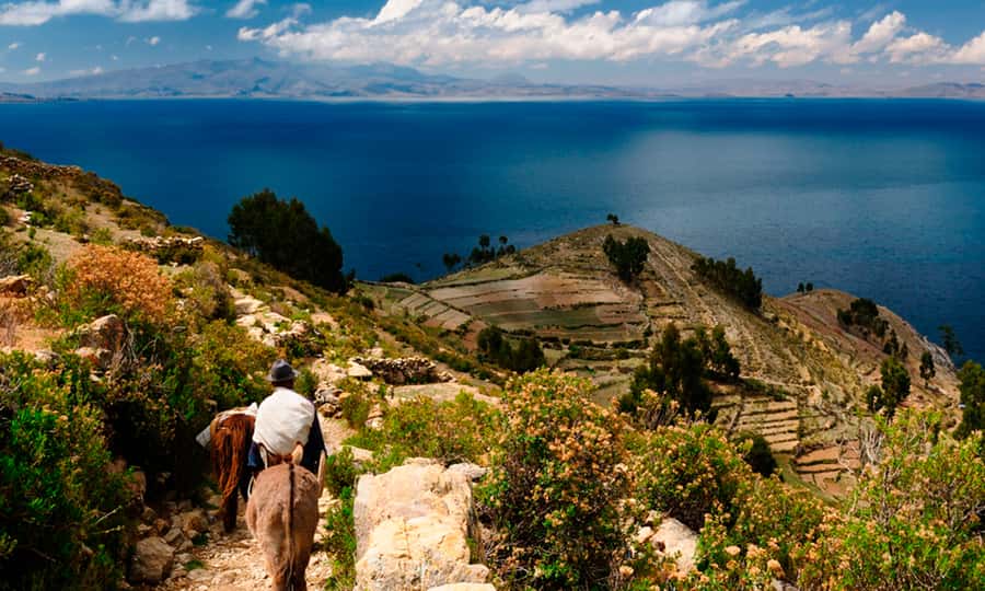 La Paz: Full Day Trip to Copacabana and Isla del Sol - The return journey to La Paz