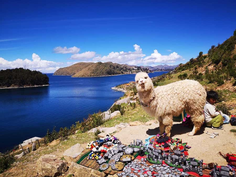 La Paz: Full Day Trip to Copacabana and Isla del Sol - Leaving La Paz by Peru Hop bus