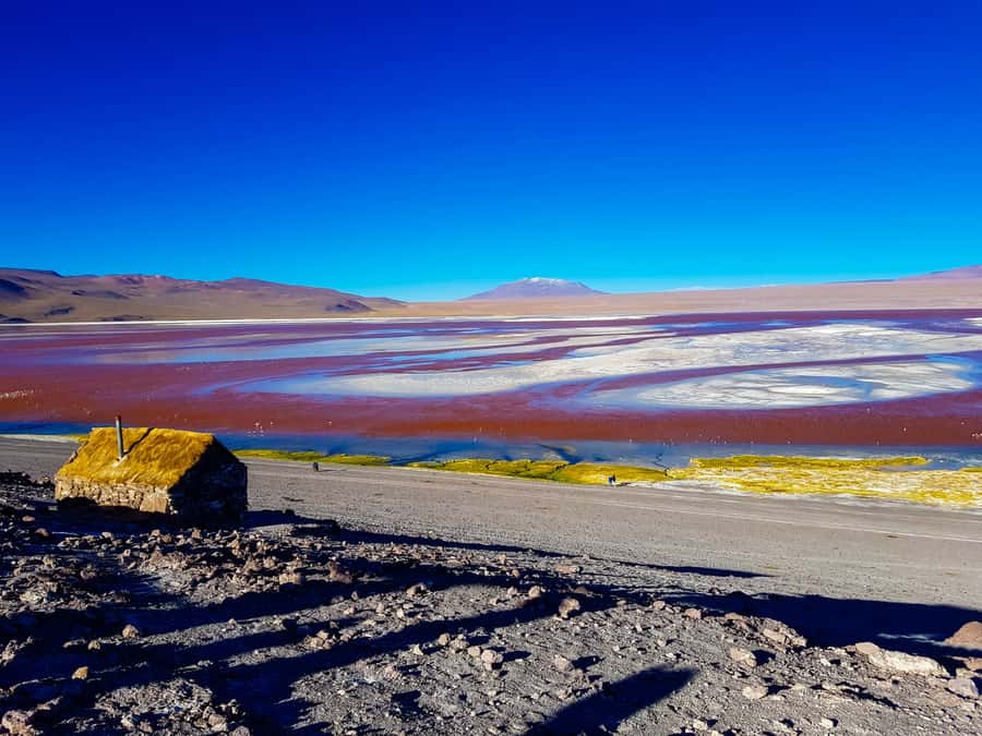 La Paz: Uyuni Salt Flats & San Pedro de Atacama 3-Day Tour - Who should book this tour?