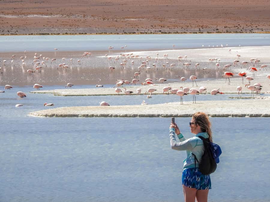 La Paz: Uyuni Salt Flats & San Pedro de Atacama 3-Day Tour - From La Paz to Uyuni on the overnight bus