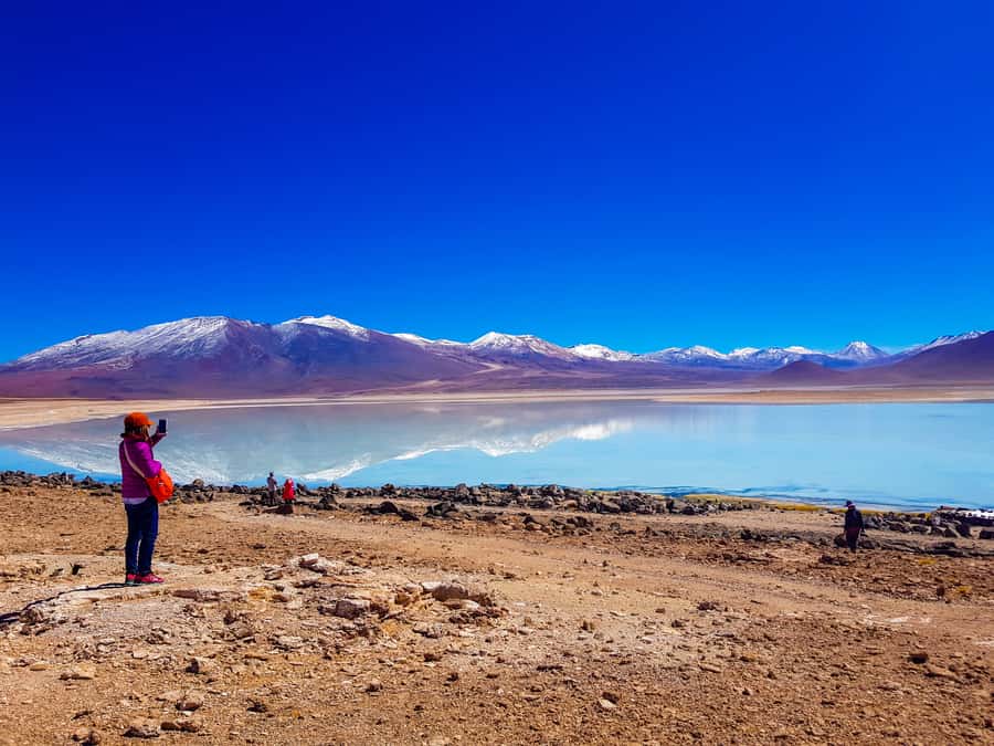 La Paz: Uyuni Salt Flats & San Pedro de Atacama 3-Day Tour - Day 3: volcano views, flamingo lagoons, and the Red Lagoon