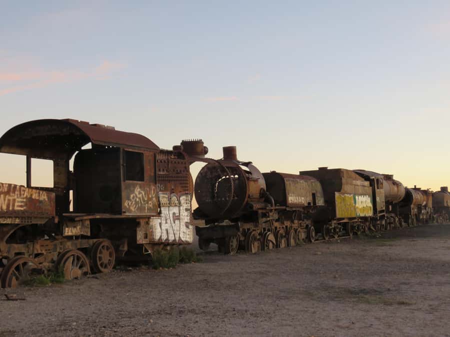 La Paz: Uyuni Salt Flats Tour by Bus - Incahuasi Island and the giant cacti