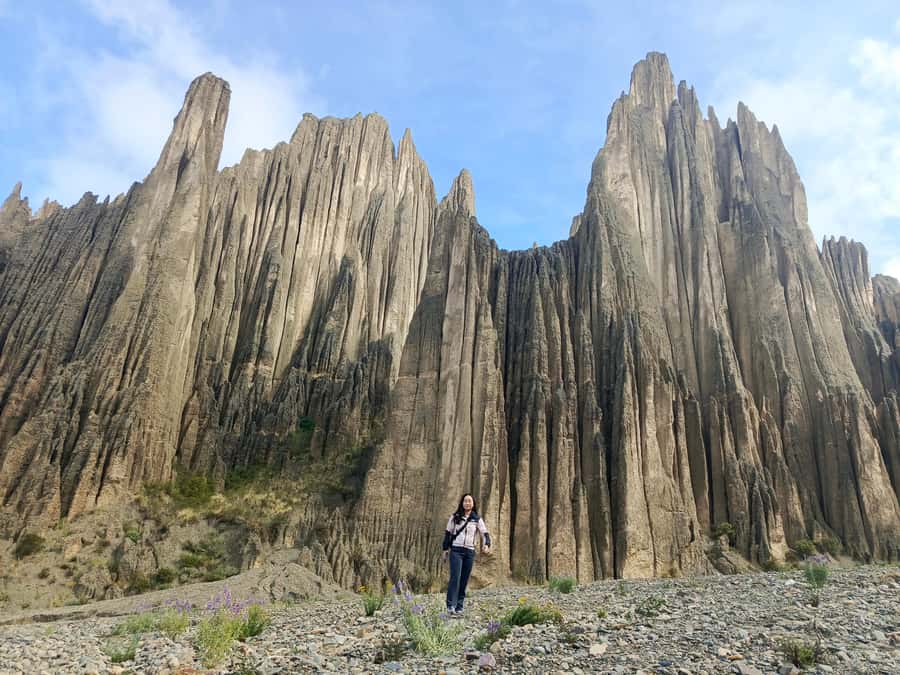 La Paz: Valle de las Animas, Moon Valley, & Killi Killi Tour - Moon Valley and its pale, sculpted paths