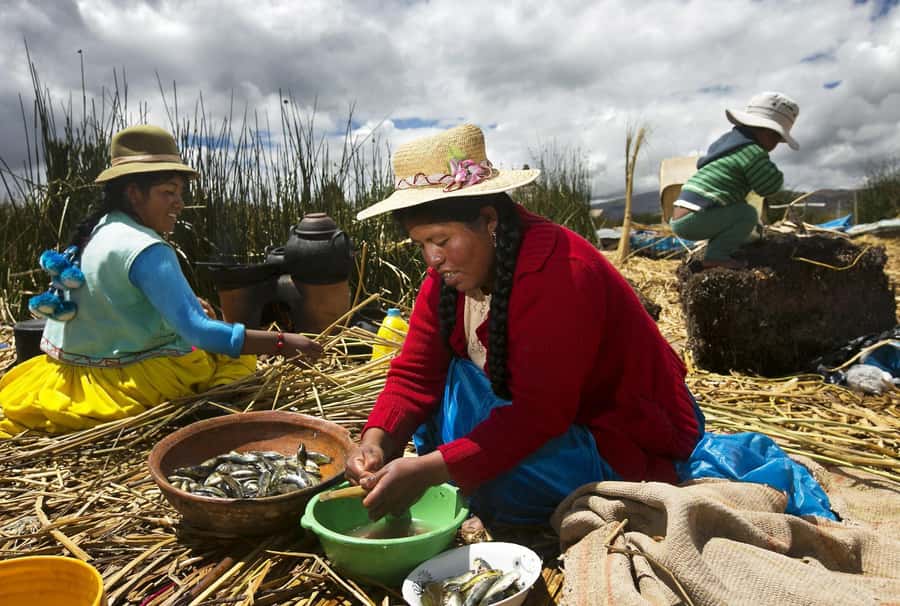 Lake Titicaca, Uros and Taquile Full-Day Tour - Setting out across the world’s highest navigable lake