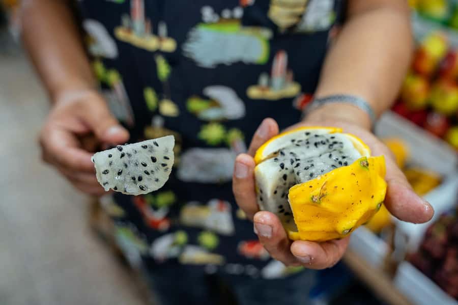Lima: Flavors and Tradition Walking Tour with Food Tasting - Pace, comfort, and practical limits
