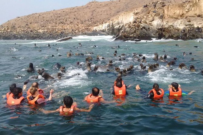 Lima: Palomino Islands Excursion & Swimming with Sea Lions with Hotel Transfers - Swimming near the sea lions