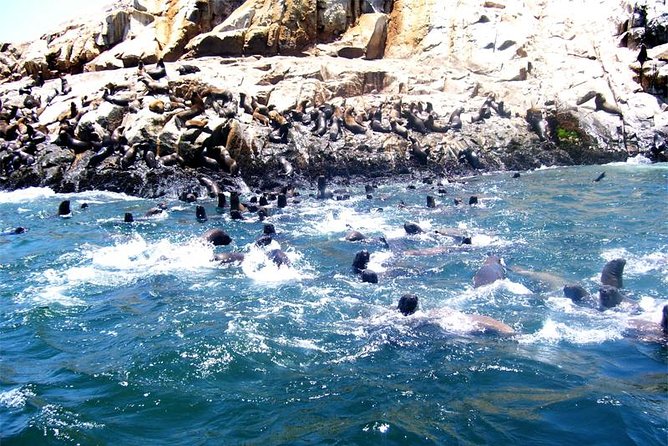 Lima: Palomino Islands Excursion & Swimming with Sea Lions with Hotel Transfers - The speedboat ride past four protected islands