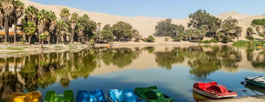 Lima: Paracas and the Huacachina Oasis Guided Day Tour - What to bring for the desert and sea