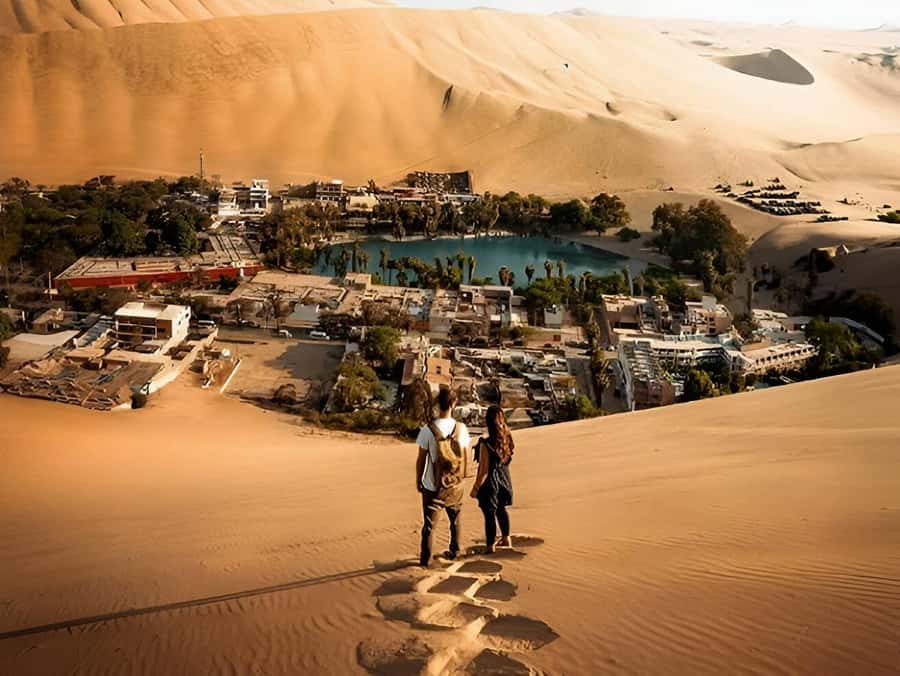 Lima: Paracas & Huacachina Oasis Day Trip with Wine & Dunes - Ballestas Islands and the Chandelier Lines
