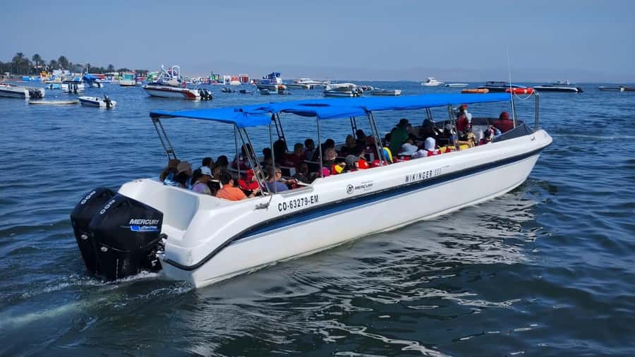 Lima: Paracas & Huacachina Oasis Day Trip with Wine & Dunes - The buggy ride and sandboarding