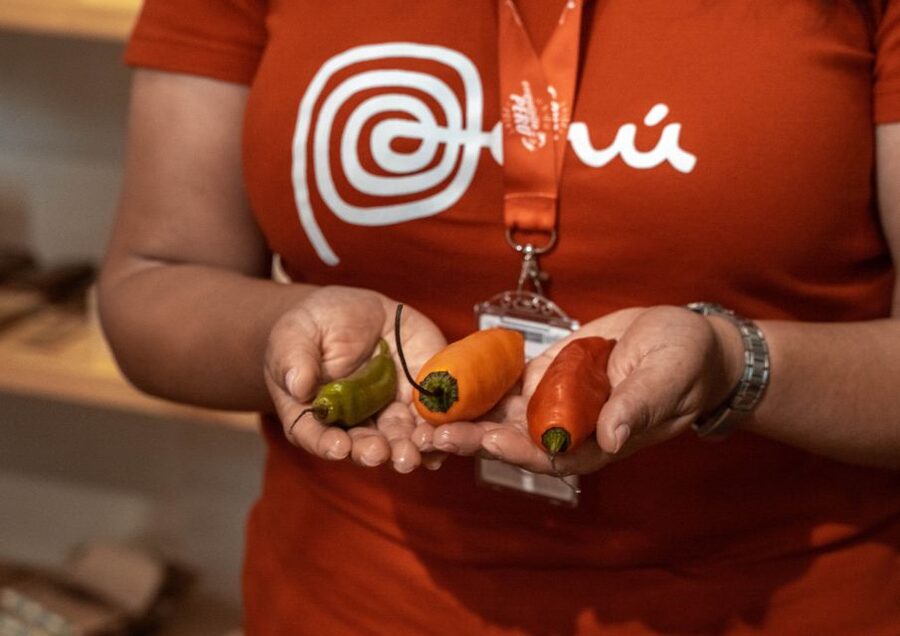 Lima: Ultimate Peruvian Food Tour - How the $105 price works out